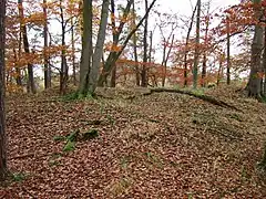 Der Burgstall der Randenburg von Nordosten mit dem Schanzenkopf im Hintergrund