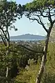 Rangitoto Island vom One Tree Hill-Gipfel aus