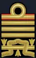Vizeadmiral in besonderer Dienststellung (OF-8)