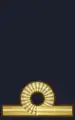 Waffendienst (braun)