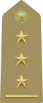 Primo capitano