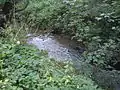 Blick vom Südufer, zwischen Rosdorf und der Mündung