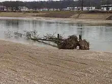Bei der Renaturierung der Isar werden auch Raubäume eingebaut, wie hier bei Dingolfing