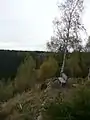 Bank auf der Felsklippe des ehemaligen Kernwerks