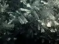 Raureif-Kristalle