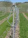 Rautenerziehung mit 40 cm Breite