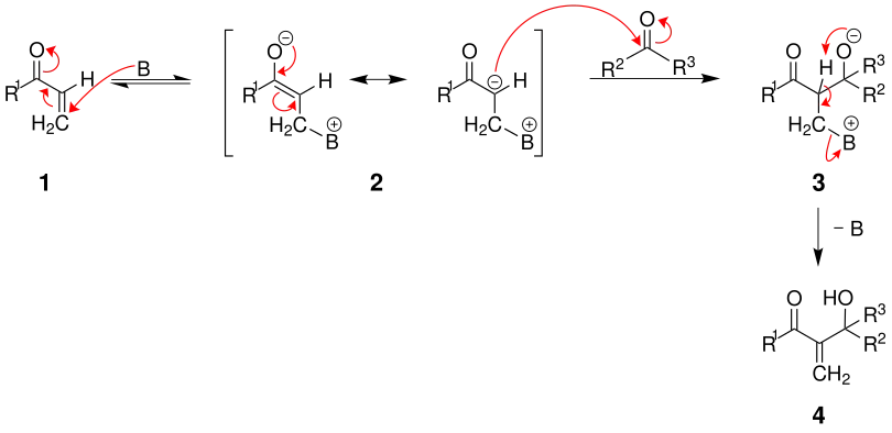 Mechanismus der Baylis-Hillman-Reaktion