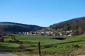 Blick auf Rebeuvelier von der Strasse nach Vermes aus