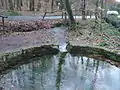 Rechte Kahlquelle(Blick in Flussrichtung)