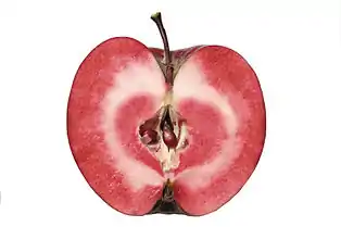 RedLove