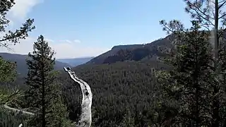 Blick vom Redondo Overlook