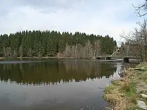 Am mittleren Bereich des Regener Sees