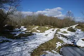 Zerwühltes Gelände der ehemaligen Ouvrage de Thiaumont, ein Jahrhundert nach der Schlacht