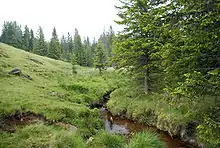 Quellbach des Rettenbachs