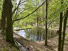 Teiche am Rheinbach
