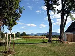 Blick von den Rheingärten gen Norden zum Schwarzwald-Kamm
