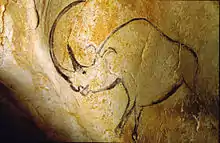 Wollnashorn mit zwei Hörnern
