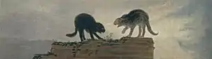 Riña de gatos (Francisco de Goya)