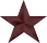 Service Star (bronze)