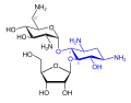 Ribostamycin(blau: Desoxystreptamin-Struktur)