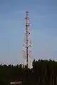 Richtfunkturm Arzbacher Holz