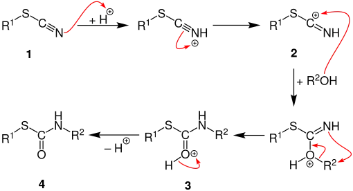 Riemschneider Reaktion Mechanismus V3