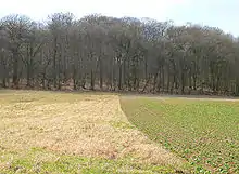 Blick hinauf zur Erhebung Rieseberg