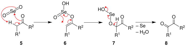 Mechanismus 2 der Riley-Oxidation