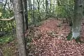 Westlicher Kantenbereich von Wall 1 am Koblenzer Dommelberg Blickrichtung Nord