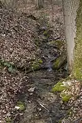 Oberer Bachlauf mit Sinterstufen