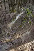 Teilung Bachlauf
