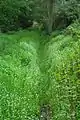 Bachverlauf des Rintger Baches