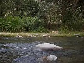 Der Fluss Rionegro