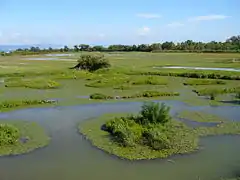 Riserva naturale della Foce dell’Isonzo an der Mündung