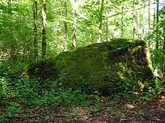 Ritterstein 39Kunzelmannsgut