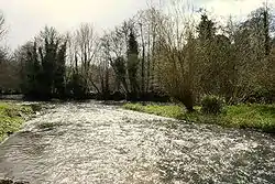 Der River Awbeg bei Castletownroche