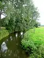 Der Fluss Enborne, von der Shalford Brücke aus gesehen