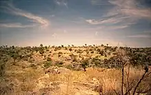 Australische Lagerstätten für Säugetierfossilien (Riversleigh/Naracoorte)
