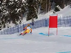 Robbie Dixon bei der Abfahrt der Olympischen Winterspielen 2010