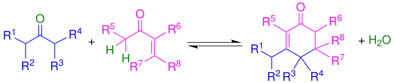 Übersicht Robinson-Anellierung