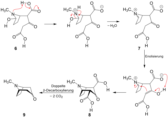 2. Teil der Robinson-Schöpf-Reaktion