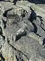 Skulpturen des Abbé Fouré