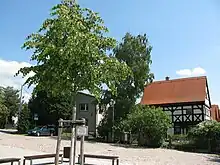 Sängerlinde Rockau