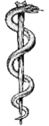 Klassischer Äskulapstab als Symbol der Humanmedizin