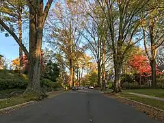 Die Rodman Street verläuft in ost-westlicher Richtung mitten durch Spring Valley