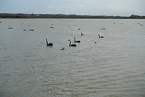 Vom Roger Sutton Boardwalk aus gesehen
