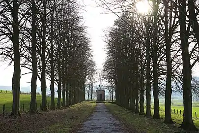Blick vom Beginn der Lindenallee im Frühling 2010