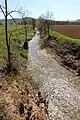 Der Fluss Rosia nahe Orgia