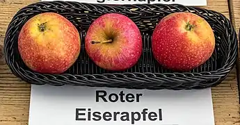 Ansicht der Frucht