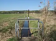 Rotes Luch im Scheitelbereich